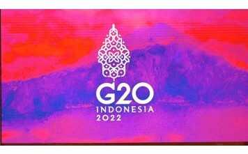 G20:   ,     